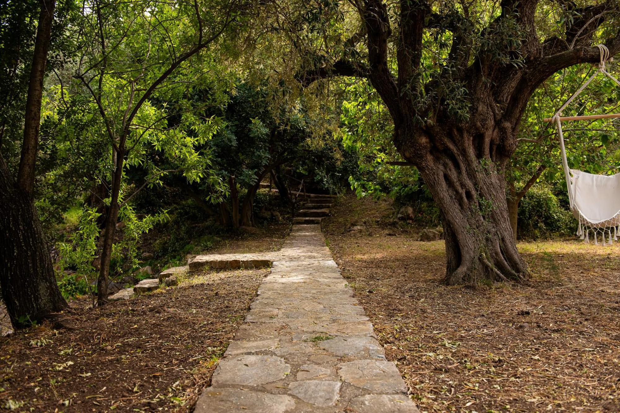 Lithea Villas And Studios By The Sea Agios Petros  Dış mekan fotoğraf