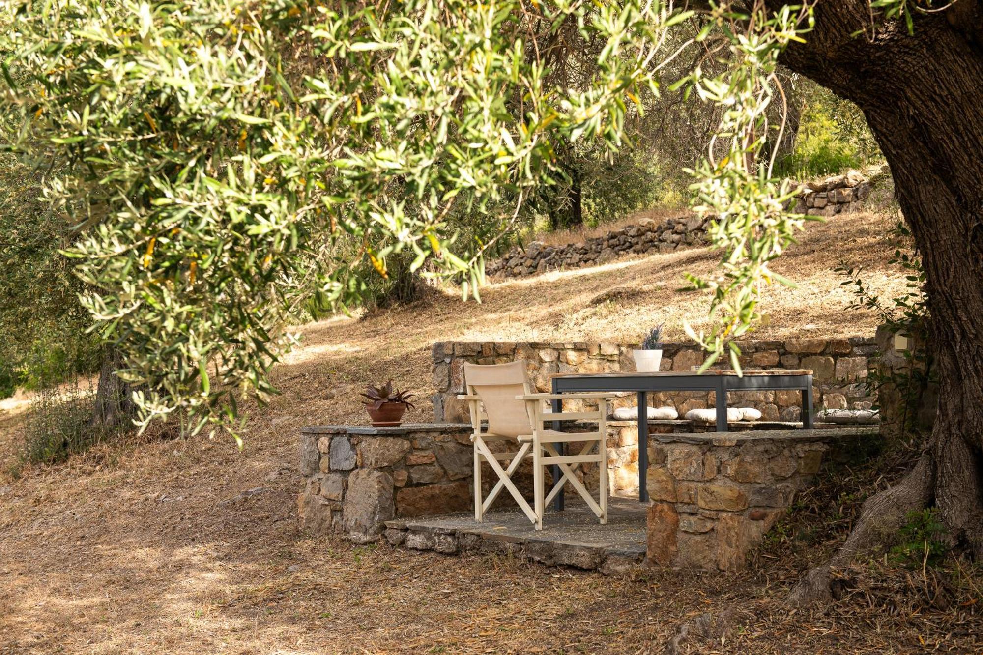 Lithea Villas And Studios By The Sea Agios Petros  Dış mekan fotoğraf