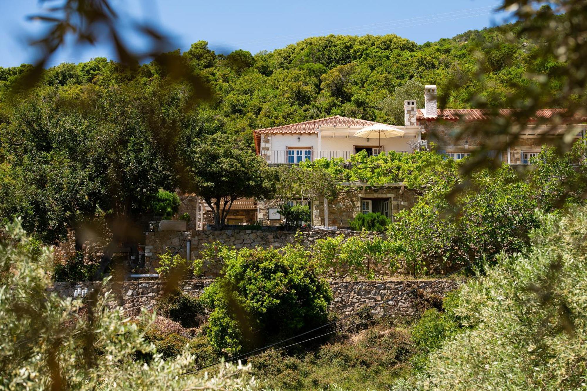 Lithea Villas And Studios By The Sea Agios Petros  Dış mekan fotoğraf